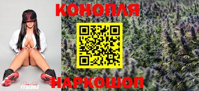 дмт Будённовск