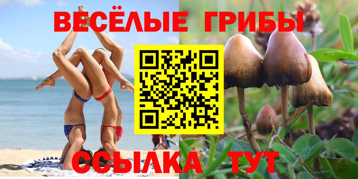 Якутск  Псилоцибиновые грибы Magic Shrooms  Псилоцибиновые грибы Cubensis  Вход с VPN 
